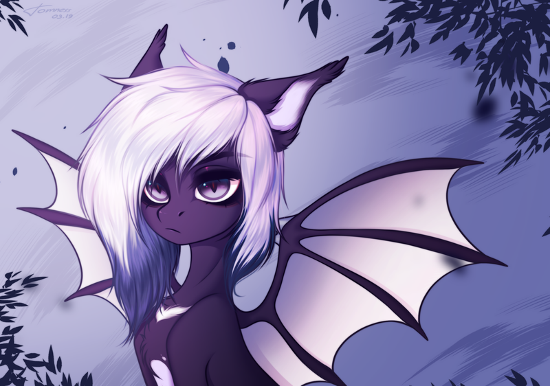 Size: 2464x1732 | Tagged: safe, artist:tomness, derpibooru import, oc, oc:sask de roge moor, unofficial characters only, bat pony, pony, bat pony oc, bat wings, chest fluff, commission, multicolored hair, signature, solo, wings