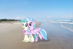 Size: 1678x1123 | Tagged: safe, artist:cheezedoodle96, artist:reaver75, derpibooru import, edit, silverstream, terramar, classical hippogriff, hippogriff, pony, beach, brother and sister, cute, diastreamies, duo, duo male and female, female, hug, irl, jewelry, male, necklace, photo, ponies in real life, siblings, terrabetes