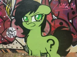 Size: 4000x3000 | Tagged: safe, artist:killasher, derpibooru import, oc, oc:anonfilly, earth pony, pony, angry, cute, female, filly, fluffy, graffiti, irl, looking at you, photo, solo