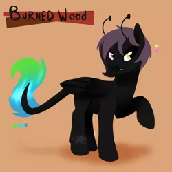 Size: 1000x1000 | Tagged: safe, artist:angexci, derpibooru import, oc, oc:burned wood, unofficial characters only, pony, reference sheet, solo