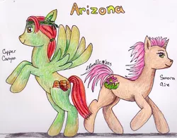 Size: 1054x826 | Tagged: safe, artist:pristine1281, derpibooru import, oc, oc:copper canyon, oc:sonora aire, unofficial characters only, earth pony, pegasus, pony, arizona, female, male, mare, stallion, traditional art