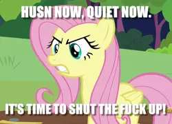 Size: 1050x755 | Tagged: safe, derpibooru import, edit, edited screencap, screencap, fluttershy, pegasus, pony, fluttershy leans in, angry, caption, female, image macro, mare, solo, stfu, text, vulgar