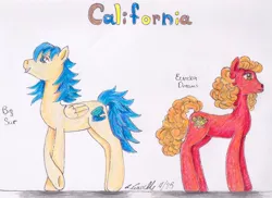 Size: 1130x824 | Tagged: safe, artist:pristine1281, derpibooru import, part of a set, oc, oc:big sur, oc:eureka dreams, unofficial characters only, earth pony, pegasus, pony, california, female, male, mare, part of a series, stallion, traditional art