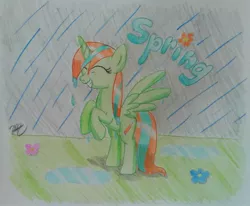 Size: 1373x1134 | Tagged: safe, artist:prinrue, derpibooru import, oc, oc:starshine note, unofficial characters only, alicorn, pony, alicorn oc, female, flower, horn, mare, rain, solo, spring, traditional art, wings