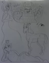 Size: 3015x3934 | Tagged: safe, artist:k-liight, derpibooru import, ponified, human, pony, crossover, humanized, lego, queen watevra wa-nabi, spoilers for another series, the lego movie, the lego movie 2: the second part, traditional art
