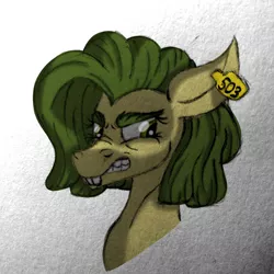 Size: 2500x2500 | Tagged: safe, artist:thr3eguess3s, derpibooru import, oc, oc:apple core, pony, bucktooth, bushy brows, bust, ear tag, eyebrows, female, mare, mixed media, offspring, parent:big macintosh, parent:limestone pie, parents:limemac, snarling, solo