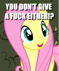 Size: 429x519 | Tagged: safe, derpibooru import, edit, edited screencap, screencap, fluttershy, pegasus, pony, the return of harmony, caption, cropped, exclamation point, image macro, interrobang, no fucks, question, question mark, solo, text, vulgar