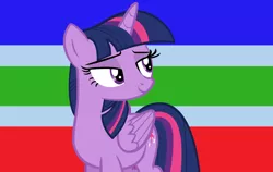 Size: 800x507 | Tagged: safe, artist:themexicanpunisher, derpibooru import, twilight sparkle, twilight sparkle (alicorn), alicorn, pony, female, heterosexual, heterosexual flag, heterosexuality, male, pride, pride flag, solo, straight, straight pride flag, tradition