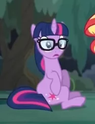 Size: 316x409 | Tagged: safe, derpibooru import, screencap, sci-twi, sunset shimmer, twilight sparkle, ponified, pony, unicorn, equestria girls, equestria girls series, spring breakdown, spoiler:eqg series (season 2), cropped, equestria girls ponified, glasses, open mouth, sitting, unicorn sci-twi