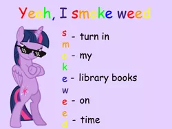 Size: 960x720 | Tagged: safe, artist:uponia, derpibooru import, edit, edited edit, editor:countcoltnackh, twilight sparkle, twilight sparkle (alicorn), alicorn, pony, acronym, bad acronyms, bipedal, caption, comic sans, crossed hooves, deal with it, exploitable meme, female, fresh princess and friends' poses, fresh princess of friendship, image macro, meme, rainbow text, shit meme, shitposting, simple background, smug, solo, sunglasses, text, the fresh prince of bel-air, vector