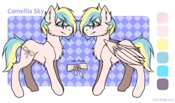 Size: 1314x777 | Tagged: safe, artist:carrscrap, derpibooru import, oc, oc:camellia sky, unofficial characters only, pegasus, pony, cutie mark, female, glasses, reference sheet, smiling, solo