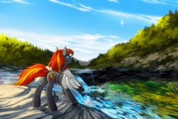 Size: 1400x933 | Tagged: safe, artist:margony, derpibooru import, oc, oc:flame runner, unofficial characters only, pegasus, pony, female, mare, river, rock, scenery, scenery porn, solo, supernova