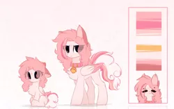 Size: 1396x875 | Tagged: safe, artist:little-sketches, derpibooru import, oc, oc:morning radiance, pegasus, pony, bell, bell collar, chest fluff, collar, eye clipping through hair, female, filly, mare, reference sheet, solo, two toned wings, wings