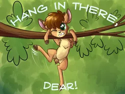 Size: 1200x900 | Tagged: artist:sirzi, chest fluff, deer, derpibooru import, fawn, fordeer, hanging, hang in there, oc, original species, pale belly, pun, safe, solo, tree, tree branch, unofficial characters only