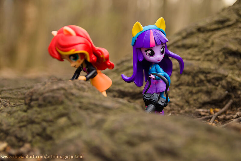 Size: 1024x684 | Tagged: safe, artist:artofmagicpoland, derpibooru import, sunset shimmer, twilight sparkle, twilight sparkle (alicorn), alicorn, equestria girls, doll, equestria girls minis, eqventures of the minis, irl, meta, photo, toy