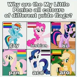 Size: 1080x1080 | Tagged: safe, derpibooru import, applejack, fluttershy, pinkie pie, rainbow dash, rarity, twilight sparkle, earth pony, pegasus, pony, unicorn, aromantic pride flag, asexual pride flag, bi twi, bilight sparkle, bisexual pride flag, female, gay pride flag, hat, headcanon, lesbian pride flag, lgbt, mare, pansexual pride flag, pride, pride flag, simple background, text, unicorn twilight, white background