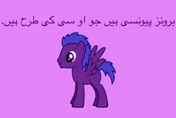 Size: 2048x1365 | Tagged: safe, artist:cozmo312bb, derpibooru import, oc, oc:retail revenue, pony, pony creator, purple background, simple background, urdu