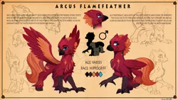 Size: 3000x1687 | Tagged: artist:discordthege, chest fluff, classical hippogriff, commission, derpibooru import, hippogriff, looking at you, male, oc, oc:arcus, oc:arcus flamefeather, reference sheet, safe, solo, spread wings, unofficial characters only, wings