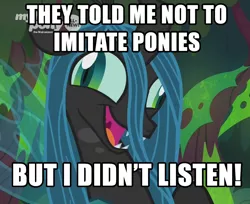 Size: 872x712 | Tagged: caption, changeling, changeling queen, crazylis, derp, derpibooru import, edit, edited screencap, editor:wild stallions, exploitable meme, female, i didn't listen, image macro, meme, queen chrysalis, safe, screencap, text, the beginning of the end