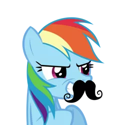 Size: 894x894 | Tagged: safe, artist:coolez, derpibooru import, rainbow dash, pony, facial hair, female, hooves together, mare, moustache, plotting, simple background, smiling, solo, transparent background, vector