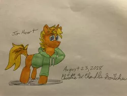 Size: 4032x3024 | Tagged: safe, artist:chris chan, derpibooru import, oc, oc:jai heart, unofficial characters only, pony, chris chan, commission, traditional art