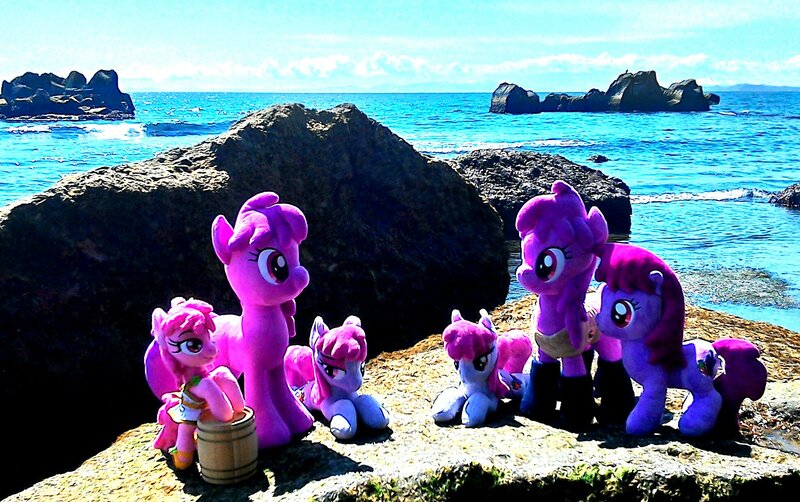 Size: 1948x1222 | Tagged: safe, artist:hihin1993, derpibooru import, berry punch, berryshine, pony, irl, japan, multeity, photo, plushie, vineyard of punches, water