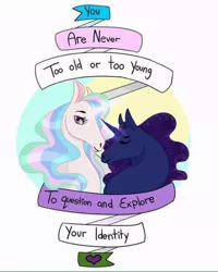 Size: 480x600 | Tagged: artist needed, safe, derpibooru import, princess celestia, princess luna, alicorn, pony, bust, ethereal mane, facebook, female, feminism, hoers, mare, motto, pride, purple & black anarchists, starry mane