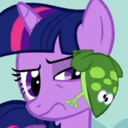 Size: 715x715 | Tagged: safe, derpibooru import, screencap, twilight sparkle, frog, pony, unicorn, feeling pinkie keen, angry, annoyed, cropped, ew, grossed out, grumpy, grumpy twilight, profile picture, raised eyebrow, solo, twilight is not amused, unamused