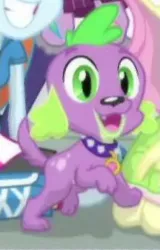 Size: 563x882 | Tagged: safe, derpibooru import, screencap, fluttershy, rainbow dash, sci-twi, spike, spike the regular dog, twilight sparkle, dog, equestria girls, friendship games, cropped, cute, male, offscreen character, paws, smiling, spikabetes, spike's dog collar, tail