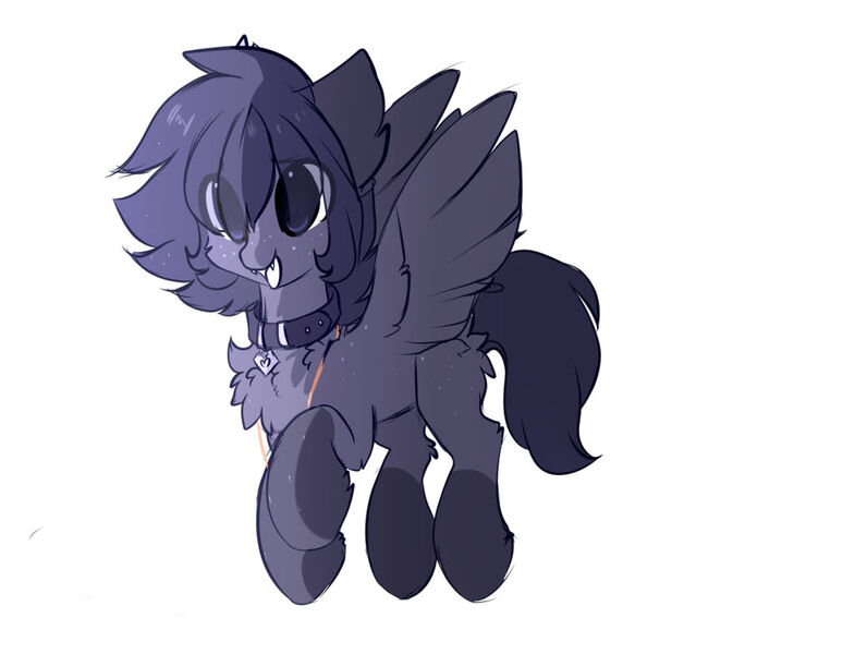 Size: 1024x783 | Tagged: safe, artist:little-sketches, derpibooru import, oc, oc:key, pegasus, pony, chest fluff, eye clipping through hair, female, leash, mare, simple background, solo, white background