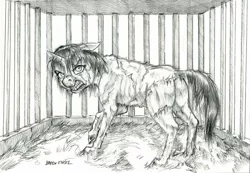 Size: 1300x897 | Tagged: grimdark, artist:baron engel, derpibooru import, oc, oc:phoenix, unofficial characters only, pony, unicorn, bared teeth, cage, female, filly, grimace, monochrome, pencil drawing, scar, story included, straw, traditional art