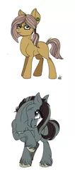 Size: 600x1418 | Tagged: safe, artist:celestial-rainstorm, derpibooru import, oc, oc:iron forge, oc:sandstone pie, unofficial characters only, earth pony, pony, female, male, mare, offspring, parent:limestone pie, parent:marble pie, parent:quibble pants, parent:troubleshoes clyde, parents:marbleshoes, parents:quibblestone, simple background, stallion, white background