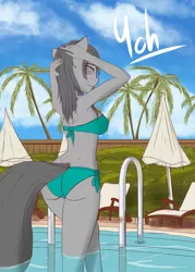 Size: 1786x2500 | Tagged: advertisement, anthro, artist:mintjuice, breasts, bush, clothes, commission, derpibooru import, female, looking at you, looking back, looking back at you, mare, palm tree, sky, solo, solo female, suggestive, swimming pool, swimsuit, tree, umbrella, water, wet, your character here