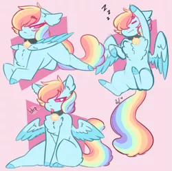 Size: 2863x2857 | Tagged: safe, artist:salty-irish-potato, derpibooru import, rainbow dash, cat, cat pony, original species, pegasus, pony, :p, behaving like a cat, bell, bell collar, chest fluff, collar, colored hooves, cute, dashabetes, ear fluff, floppy ears, hair over one eye, high res, leg fluff, no pupils, onomatopoeia, pet tag, pet-dash, pink background, rainbow cat, silly, simple background, sitting, smiling, solo, sound effects, speech bubble, spread wings, stretching, tongue out, two toned wings, wing fluff, wings, zzz