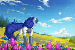 Size: 1263x850 | Tagged: safe, artist:margony, derpibooru import, oc, oc:sirius dreams, unofficial characters only, earth pony, pony, beautiful, clothes, cloud, field, flower field, grass, pretty, scenery, sky, solo