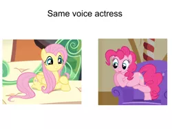 Size: 960x720 | Tagged: safe, derpibooru import, edit, edited screencap, editor:countcoltnackh, screencap, fluttershy, pinkie pie, earth pony, pegasus, pony, exploitable meme, meme, op is a slowpoke, same voice actor, shitposting, simple background, text, white background