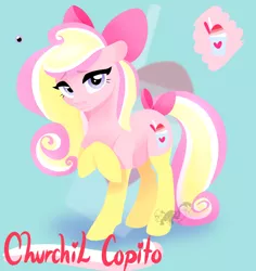 Size: 1000x1060 | Tagged: safe, artist:angexci, derpibooru import, oc, oc:churchil copito, unofficial characters only, earth pony, pony, bow, clothes, hair bow, reference sheet, socks, solo, tail bow