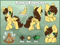Size: 3600x2700 | Tagged: safe, artist:sapphfyr, derpibooru import, oc, oc:sandy fortune, unofficial characters only, pegasus, pony, female, mare, reference sheet, solo