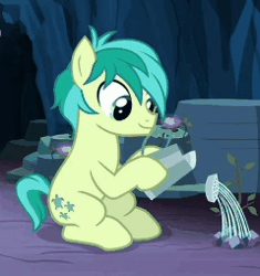 Size: 239x254 | Tagged: safe, derpibooru import, screencap, sandbar, earth pony, pony, uprooted, animated, cropped, gif, male, sapling, solo, water, watering can