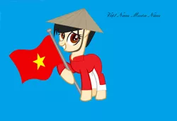 Size: 3860x2636 | Tagged: safe, artist:ngthanhphong, derpibooru import, pony, flag, vietnam, vietnamese