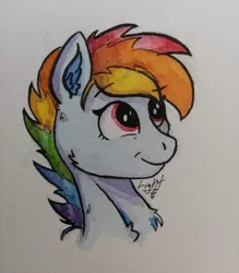 Size: 1918x2192 | Tagged: safe, artist:lightisanasshole, derpibooru import, rainbow dash, pegasus, pony, :t, alternate hairstyle, bust, ear fluff, fluffy, neck fluff, painting, rainbow, red eyes, smiling, smirk, solo, traditional art, watercolor painting