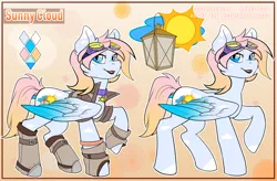 Size: 1833x1200 | Tagged: safe, artist:hakkids2, derpibooru import, oc, oc:sunny cloud, unofficial characters only, pegasus, pony, clothes, goggles, markings, reference, reference sheet, solo