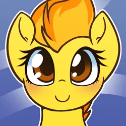 Size: 1000x1000 | Tagged: safe, artist:puetsua, derpibooru import, spitfire, pegasus, pony, abstract background, avatar, bust, cute, cutefire, female, looking at you, mare, portrait, smiling, solo