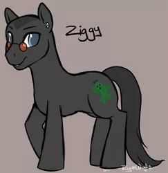 Size: 882x909 | Tagged: safe, artist:ryunwoofie, derpibooru import, oc, oc:ziggy, earth pony, pony, ear piercing, glasses, male, piercing, reference, shaved, shaved mane, simple background, solo, stallion