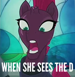 Size: 1192x1209 | Tagged: suggestive, derpibooru import, edit, edited screencap, screencap, tempest shadow, pony, my little pony: the movie, armor, broken horn, caption, eye scar, female, horn, image macro, looking down, mare, open mouth, scar, solo, text