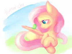 Size: 775x587 | Tagged: safe, artist:dddreamdraw, derpibooru import, fluttershy, bird, pegasus, pony, chest fluff, cute, female, looking at something, mare, missing cutie mark, neck fluff, profile, prone, shyabetes, sitting on wing, smiling