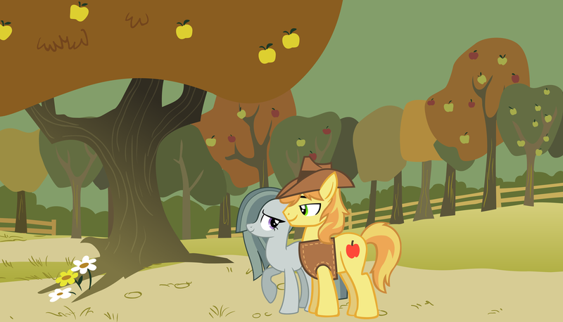 Size: 2064x1182 | Tagged: safe, derpibooru import, braeburn, marble pie, pony, afternoon, apple orchard, braeble, daytime, female, looking at each other, male, orchard, shipping, straight, walking