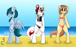 Size: 1680x1050 | Tagged: suggestive, artist:queen-razlad, derpibooru import, edit, oc, oc:cream heart, oc:delta vee, oc:razlad, pegasus, pony, beach, bikini, black bikini, clothes, female, helix horn, looking at you, milf, shark swimsuit, swimsuit