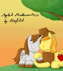 Size: 900x1020 | Tagged: safe, artist:hoofclid, derpibooru import, braeburn, oc, oc:hoofclid, earth pony, pony, unicorn, fanfic, canon x oc, cuddling, cute, eyes closed, fanfic art, fanfic cover, gay, holding hooves, male, shipping, stallion, sunset, unshorn fetlocks