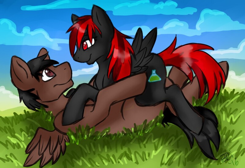 Size: 1280x882 | Tagged: safe, artist:blazedthylacine, derpibooru import, oc, oc:chase, oc:goggles, unofficial characters only, pegasus, pony, grass, signature